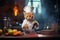 Passionate and talented cat chef cooking delicious and nutritious meals for animals in the kitchen