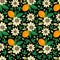 Passionflower passiflora, passion fruit on a black background.Floral seamless pattern with big bright exotic flowers,