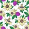 Passionflower passiflora,passion purple fruit on a white background Floral seamless