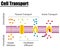 Passive vs Active cell transport. Vector illustration.