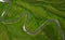 Passo di Giau Green hills Aerial drone shot of curved mountainous snake road. Traveling, transportation, safety driving, traveling