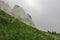 Passo Falzarego after rain with alpine flowers and hikers