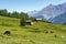 Passo Gavia mountain pass in Lombardy Italy at summer