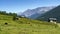 Passo Gavia mountain pass in Lombardy Italy at summer