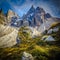 Passo rolle alps detail