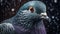 Passport Photo Of Pigeon: Capturing The Beauty Of Birds