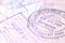 Passport stamp background