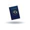 passport. Vector illustration decorative design