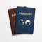 Passports international identification document. Vector travelling concept