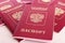 Passports of Russia. Official identification document of the citizen of the Russian Federation for traveling abroad