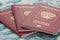 Passports of Russian Federation on rubles