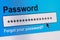 Password Box in Internet Browser