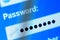 Password box in Internet Browser