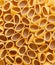 Pasta abstract texture background