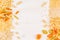 Pasta background decorative border of assortment different kinds italian macaroni.