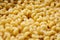 Pasta Cavatappi, closeup. Uncooked durum wheat pasta