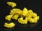 Pasta creste di gallo on dark background