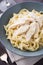 Pasta fettuccine alfredo with chicken and parmesan on dark canvas background close up