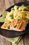 Pasta fetuccini with cheddar and grilled salmon on a plate close