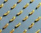 Pasta pattern on blue background