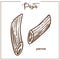 Pasta Penne chalk sketch icon for Italian cuisine menu.