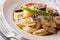 Pasta with roasted porcini mushrooms and parmesan close-up. hori