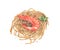 Pasta spaghetti with shrimp. Watercolor food illustration.