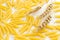 Pasta and three spikelets of wheat