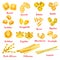 Pasta type with name poster of Italian macaroni