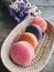 Pastal color french macarons look so sweet in the little bamboo