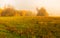 Pastel autumnal nature panorama of a rural countryside with fall foliage, meadow, on a misty sunny day