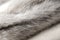 Pastel black cross mink fur texture