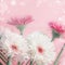 Pastel color daisy or gerbera flowers bunch at pink background with bokeh , front view