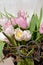 Pastel colors Tulip bouquet with a heart in a vintage wire basket