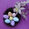 Pastel colour Easter eggs in a bird nest with an orchid flower on a purple coloured square background