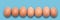 Pastel Easter eggs aligned, blue background