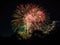 Pastel firework burst against night sky