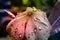 Pastel flower raindrops