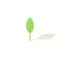 Pastel green and white young thin lonely tree, spring illustration, vector