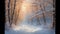 Pastel painting. Snowy winter day in the forest. View of the forest through bare trees. Rowan on the branches.