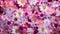 pastel pattern spring background