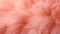 Pastel peach feather background in closeup.