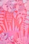 pastel pink colored scene with empty podium and paper cut jungle plants leaves