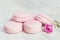 Pastel pink macaroons with rose