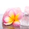 Pastel Pink and Yellow Frangipani with Rose and Clear Quartz cry