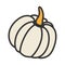 The pastel pumpkin is the symbol of Halloween and Thanksgiving.