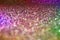 Pastel purple pink green bokeh light glitter background for Christmas