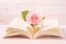 Pastel Rose and opened Book with heart shape in the middle page