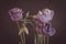 Pastel violet lisianthus bouquet macro