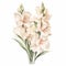 Pastel Watercolor Gladiolus Eucalyptus Illustration On White Background